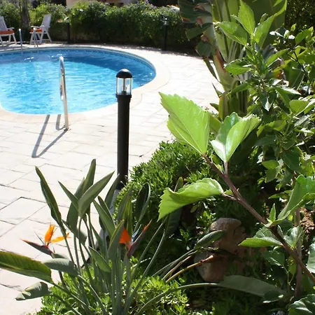 Bay Πισσούρι